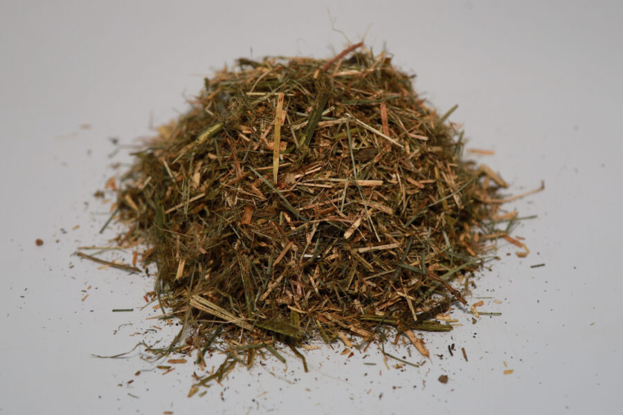 oregano2 oregano2