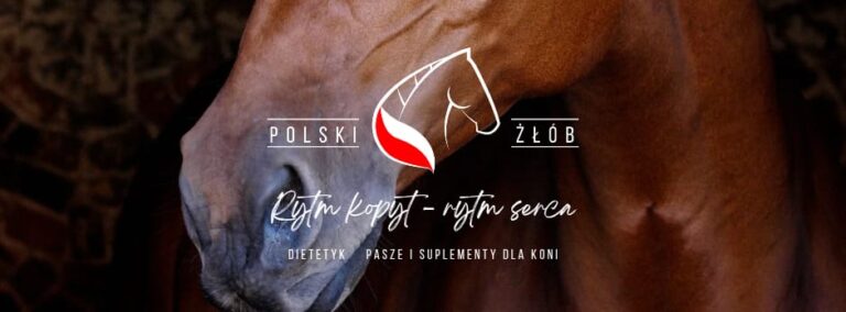 Wiosenny syndrom kopytowo-grzbietowy – dlaczego fundament decyduje o ruchu konia?