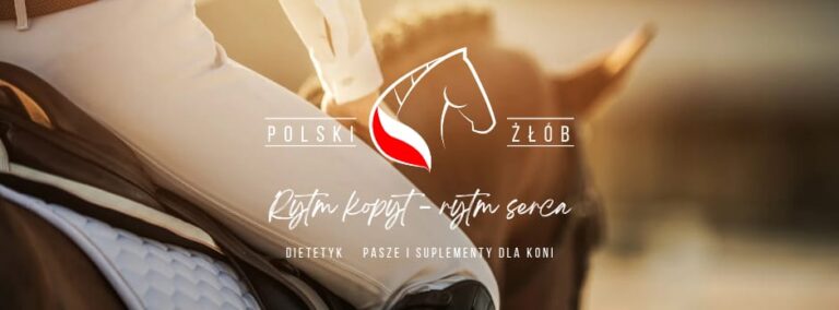 Dieta konia sportowego vs kuc – różnice w żywieniu koni