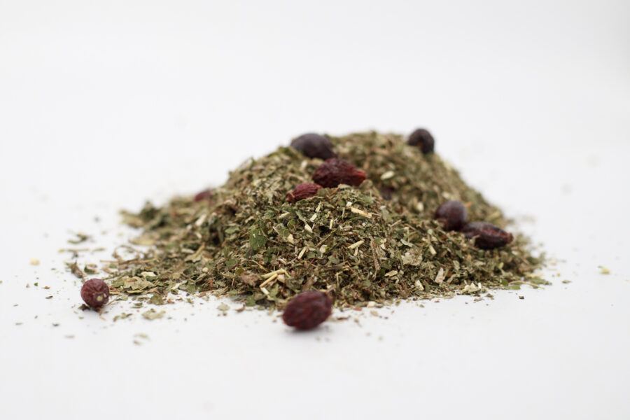 Robaki Koń (2) Robaki Koń (2)